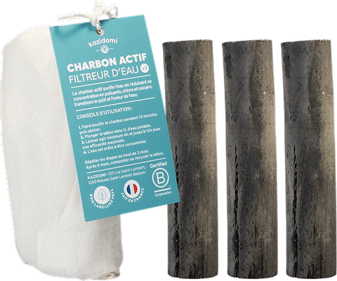 Lot de 3 Charbons Actifs Origine France - Nouvelle Version